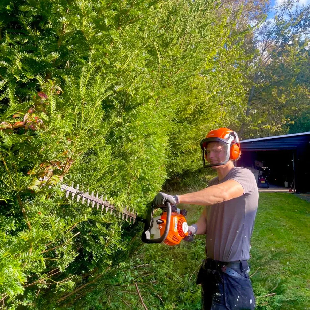 Faglig hækkeklipning med stihl-redskab